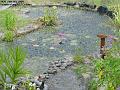2004-0702wetpond
